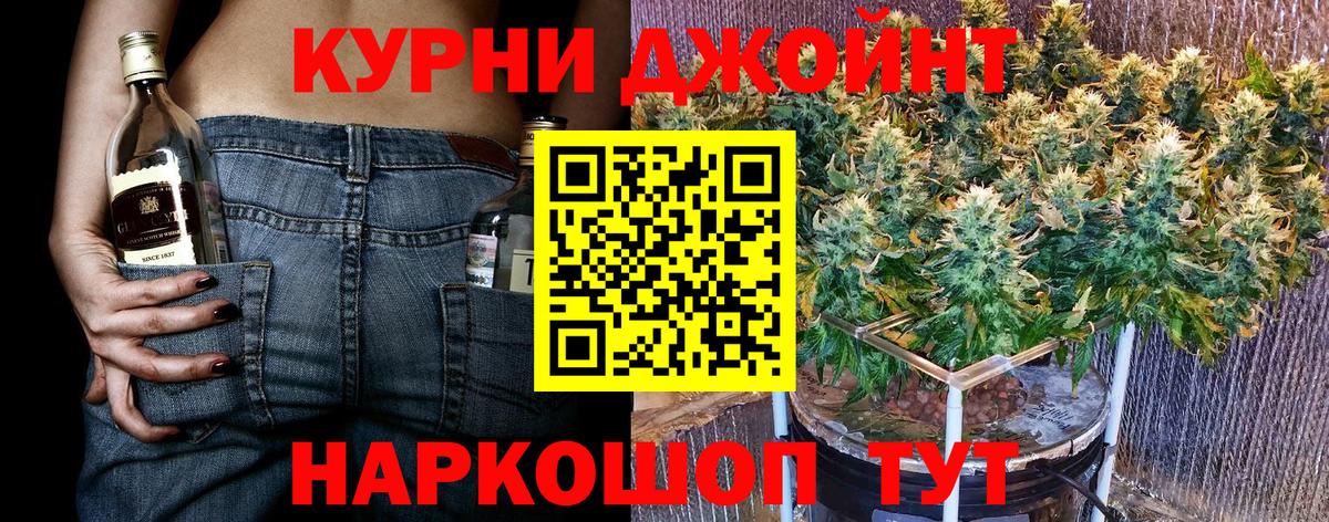 Марихуана сатива Новокубанск